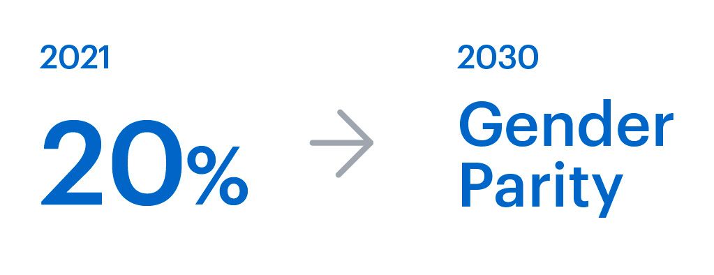 Strive for gender parity in Board of Directors members by FY2030, up from 20% in FY2021.